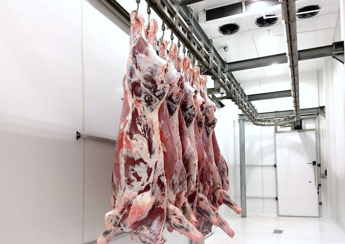 Meat processing plant with hygienic GRP walls and dropped ceiling
