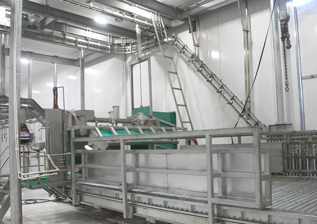 Meat processing plant hygienic GRP walls and dropped ceiling