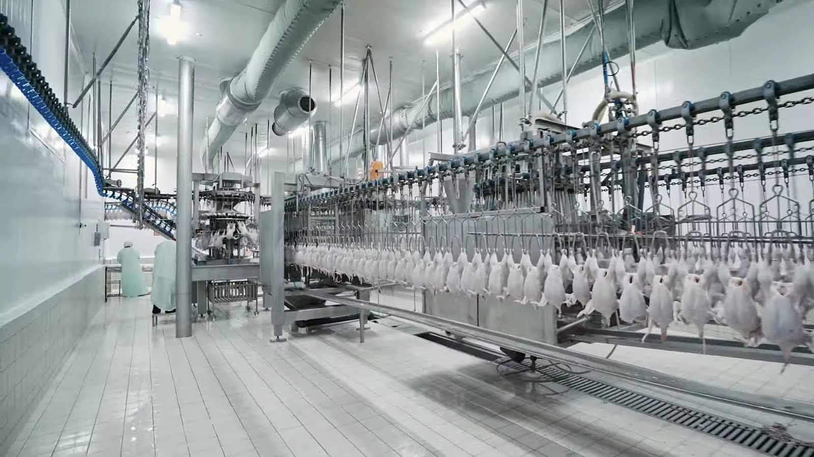 Lezita Tavukçuluk piliç ürünleri fabrikası